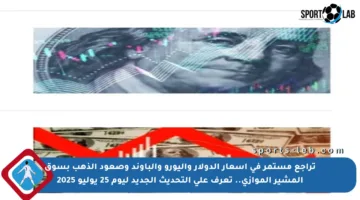 تراجع مستمر في أسعار الدولار واليورو والباوند وصعود الذهب بسوق المشير الموازي.. تعرف على التحديث الجديد ليوم 25 يوليو 2025